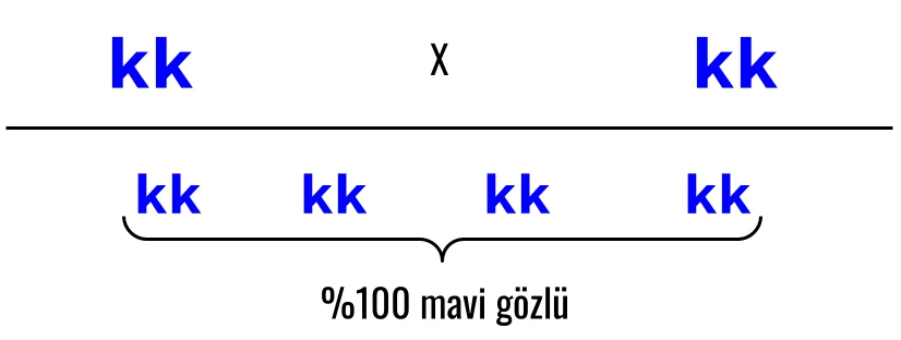 2- Kalıtım - Temel Kavramlar ve Mendelin Çalışmaları