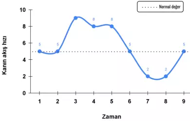 dolaşım sistemi